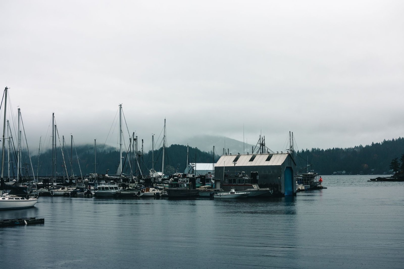 Fishing boats moored in a harbour under fog