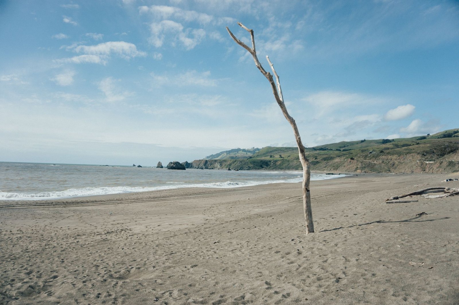 Driftwood on a wide, empty Northern California beach