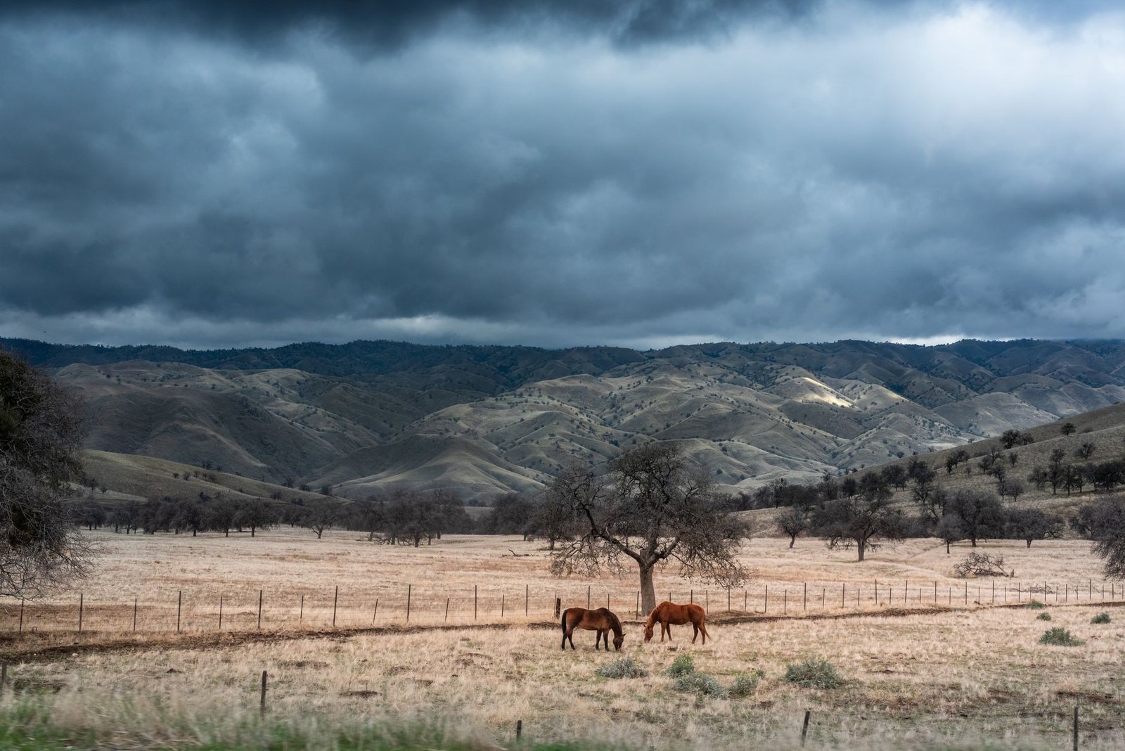 Horses grazing on ranch land below the hills