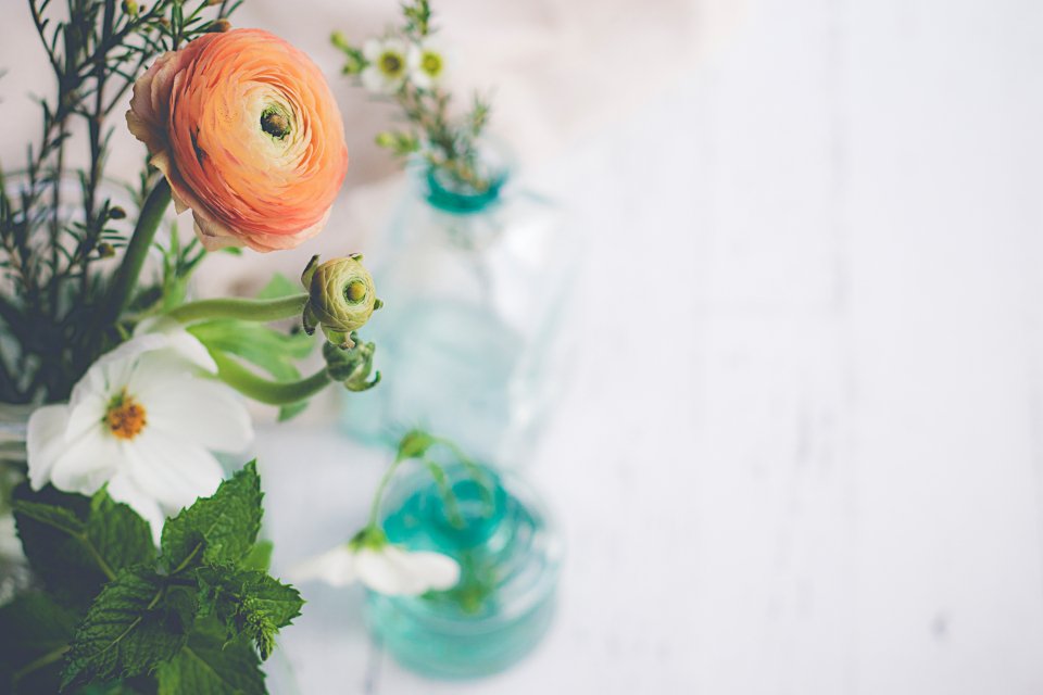 Ranunculus and narcissus in glass bottles on a white table